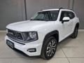 2026 Haval H7 2.0T Super Luxury 4x4 DCT