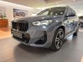 2025 BMW X1 xDrive30e M Sport