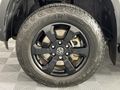 2024 Volkswagen Amarok 3.0 TDI V6 184kW 4Motion Panamericana Auto Double-