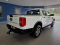 2026 Ford Ranger 2.0D XL Double Cab Auto
