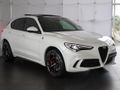 2023 Alfa Romeo Stelvio 2.9T V6 Quadrifoglio