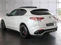 2023 Alfa Romeo Stelvio 2.9T V6 Quadrifoglio