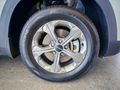 2022 Kia Seltos 1.5D EX Auto