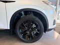 2024 Haval H6 1.5T Hybrid Ultra Luxury DHT