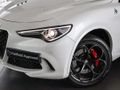 2023 Alfa Romeo Stelvio 2.9T V6 Quadrifoglio
