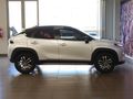 2024 Toyota Starlet Cross 1.5XR Auto