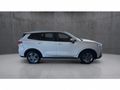 2026 Ford Territory 1.8T Ambiente