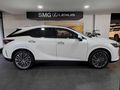 2025 Lexus RX 350h