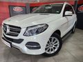 2017 Mercedes-Benz GLE 250d 4Matic
