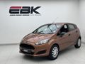 2016 Ford Fiesta 1.0 EcoBoost Ambiente 5-dr