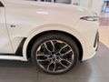 2024 BMW X7 xDrive 40d M Sport Pro