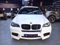 2010 BMW X6 M