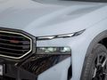 2025 BMW XM 4.4 Label (pHev)