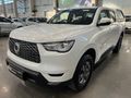 2022 GWM P-Series CV 2.0 TD SX 4x4 Double-Cab