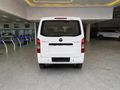 2026 Foton View C2 2.0D FR Panel Van