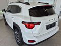 2026 Haval H7 2.0T Super Luxury 4x4 DCT