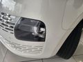 2024 Hyundai Staria 2.2d Executive Auto