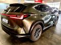 2023 Lexus NX 250 EX