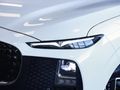 2026 Lepas L4 1.5T Javan Auto