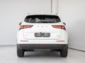 2026 Haval H6 1.5T DHT Ultra Luxury Phev