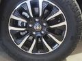 2022 Toyota Urban Cruiser 1.5 XR Manual