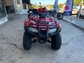 2026 Honda Trx 250 Tm
