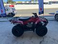 2026 Honda Trx 250 Tm