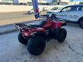 2026 Honda Trx 250 Tm