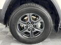 2023 Toyota Land Cruiser 300 V6 3.3 D GR-S