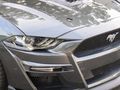 2020 Ford Mustang Roush Mustang 5.0 GT L1