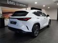 2026 Lexus NX 350h EX