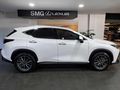 2026 Lexus NX 350h EX