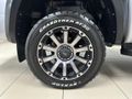 2025 Volkswagen Amarok 3.0 TDI V6 184kW 4Motion Panamericana Auto Double-