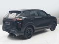 2026 Lepas L4 1.5 Amur