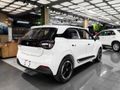 2026 Dongfeng Box E2 430