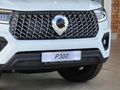 2026 GWM P-Series CV 2.0 TD SX Single-Cab