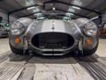 2025 Cobra Backdraft Cobra Cobra