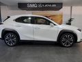 2024 Lexus UX 250h EX