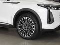 2025 Omoda C9 2.0T Inspire
