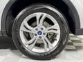 2024 Ford Territory 1.8T Trend