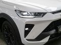 2025 Haval H6 GT 2.0T Super Luxury 4X4 Auto