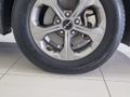 2025 Kia Seltos 1.5 LX Auto