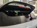 2025 Volkswagen Golf 8 2.0 TSI R DSG