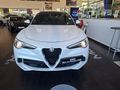 2022 Alfa Romeo Stelvio 2.9T V6 Quadrifoglio