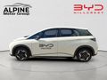 2026 BYD Dolphin Standard Range - Auto