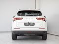 2026 Haval H6 1.5T DHT Ultra Luxury Phev