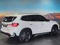 2024 BMW X1 xDrive30e xLine