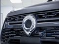 2026 GWM P-Series P300 2.4TD LTD 4x4 Double Cab Auto
