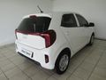2026 Kia Picanto 1.0 LS Auto
