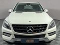 2015 Mercedes-Benz ML 250 Bluetec